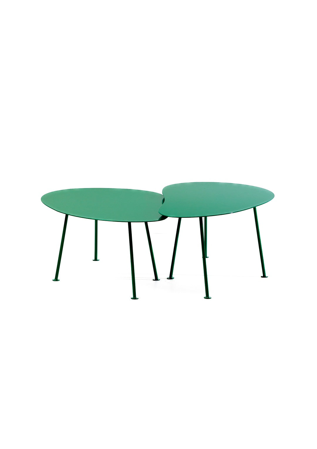 siblings green