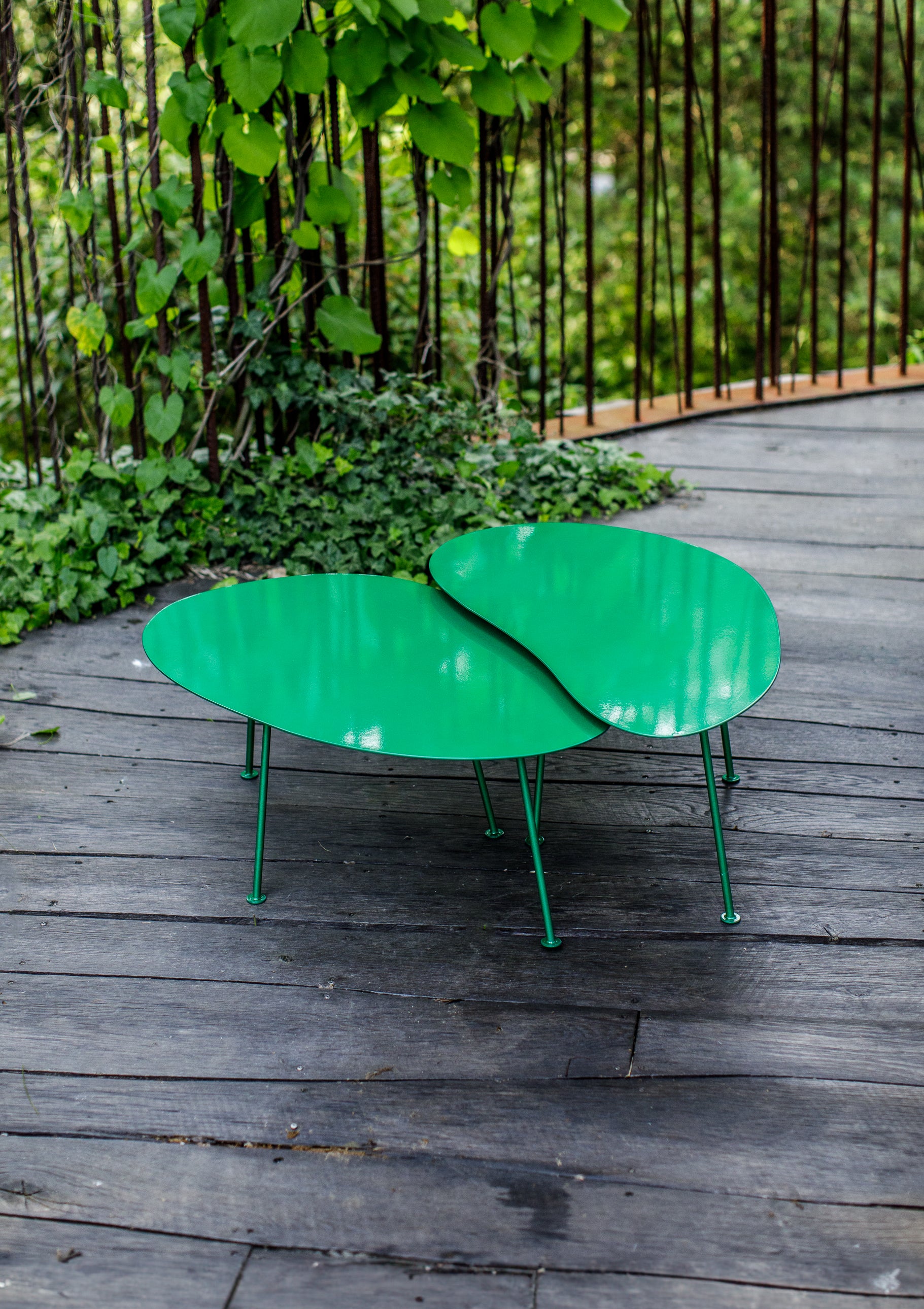 siblings green