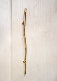 handle, twig, straight