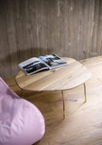 organic coffee table, small - oak 2.5 cm