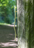 handle, twig, straight