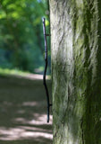 handle, twig, straight