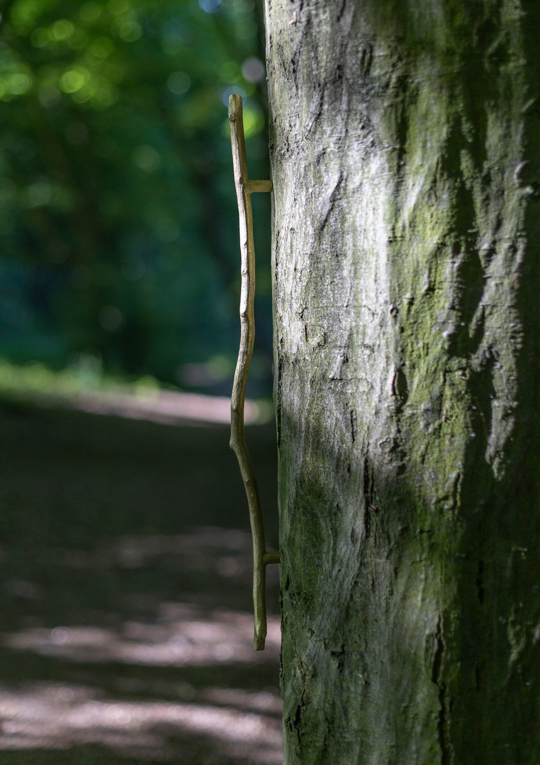 handle, twig, straight
