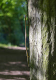 handle, twig, straight