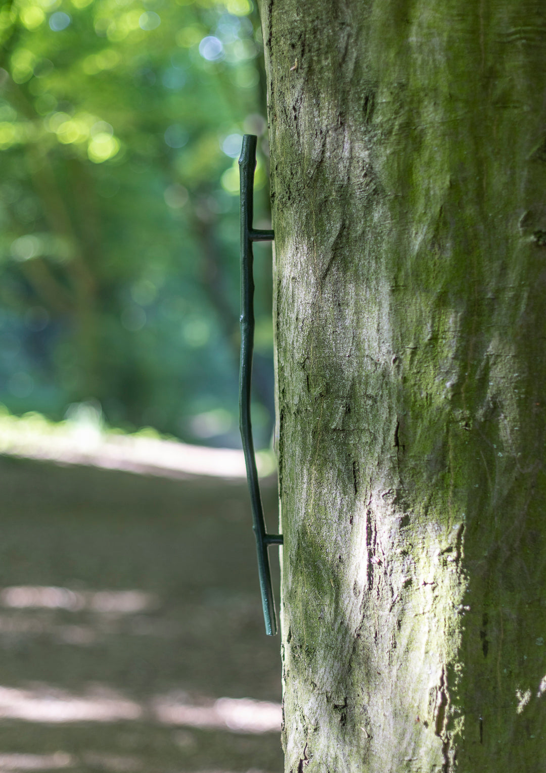 handle, twig, straight
