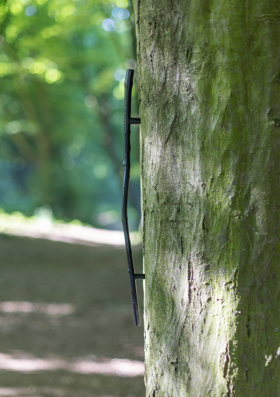 handle, twig, straight