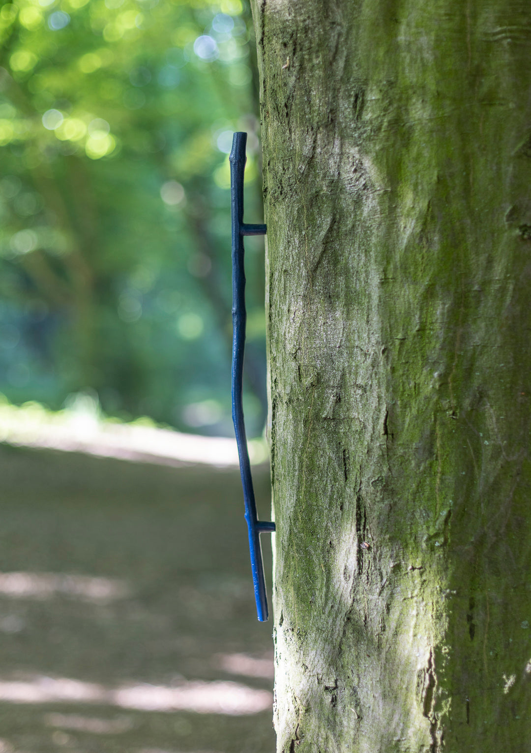 handle, twig, straight
