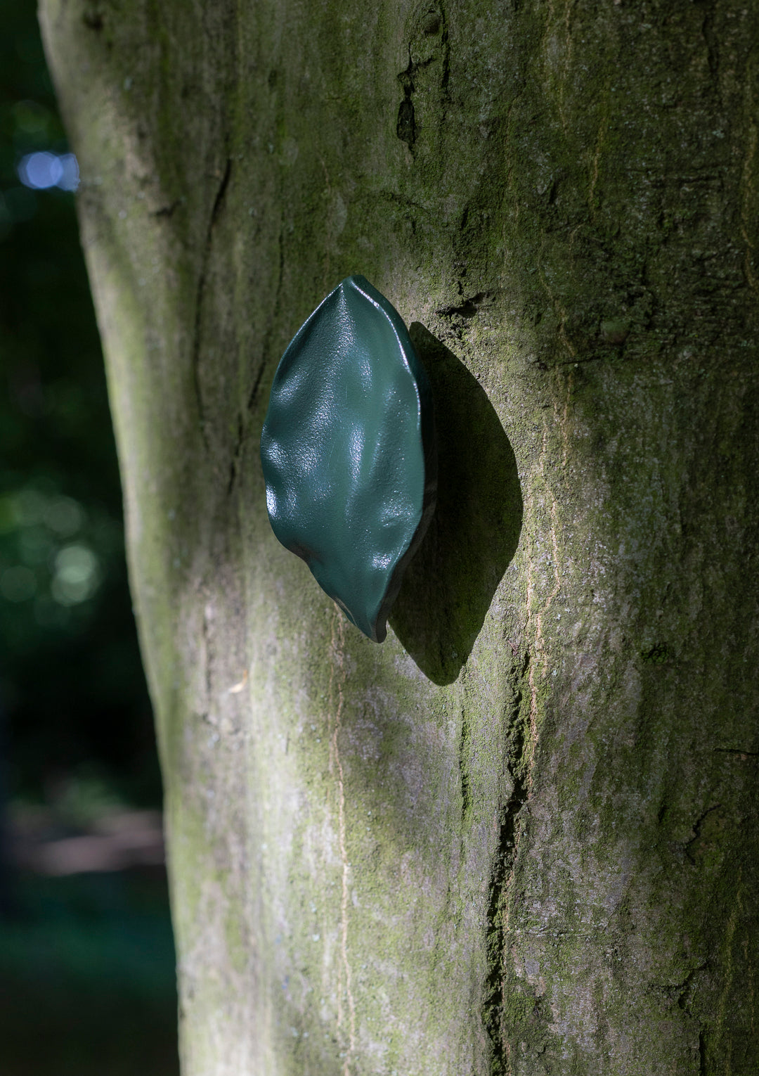 leaf, large