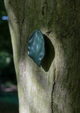 leaf, large
