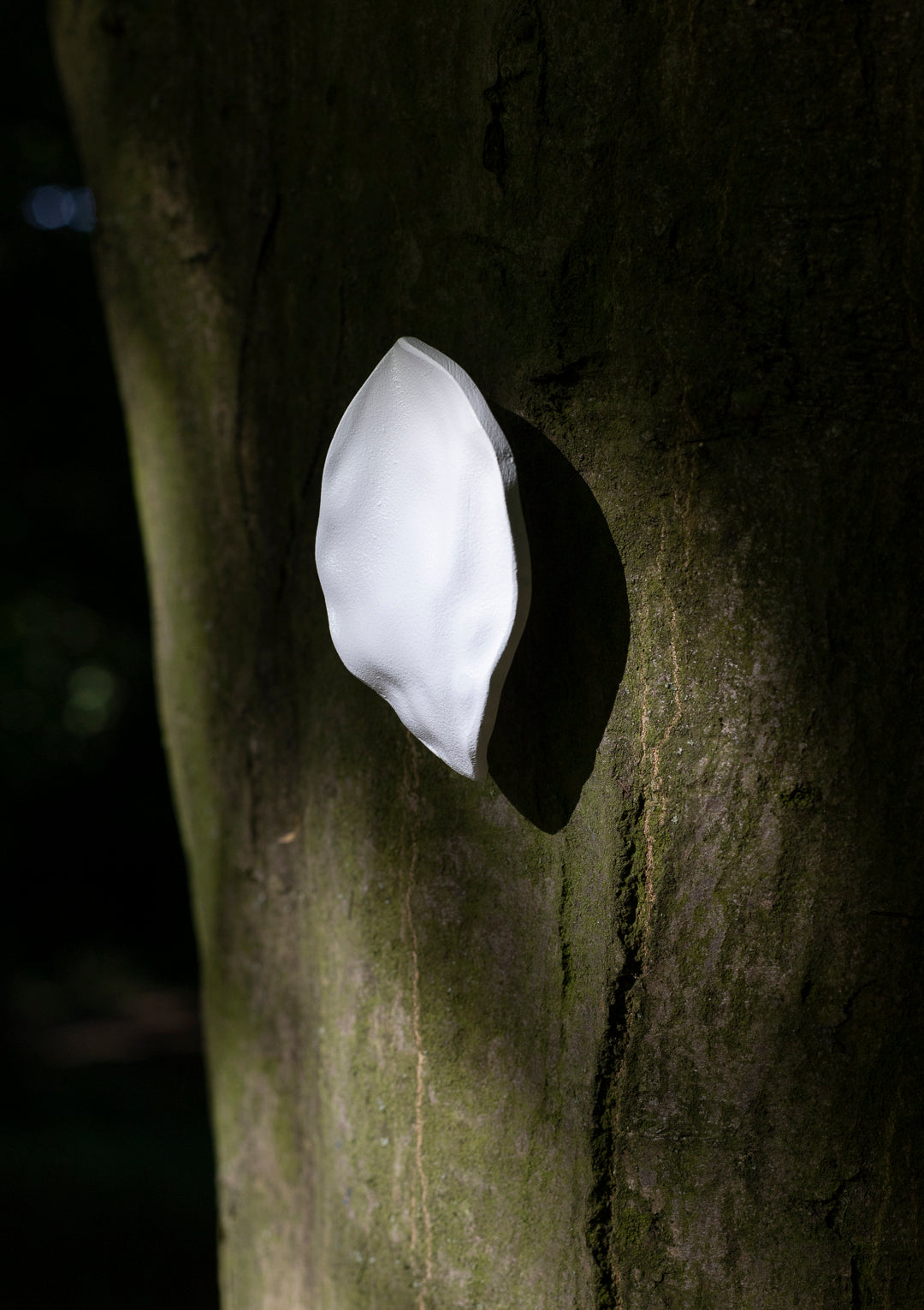 leaf, large