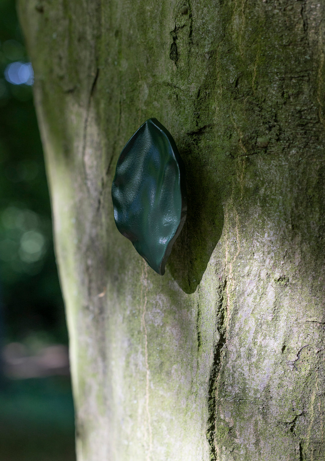 leaf, large
