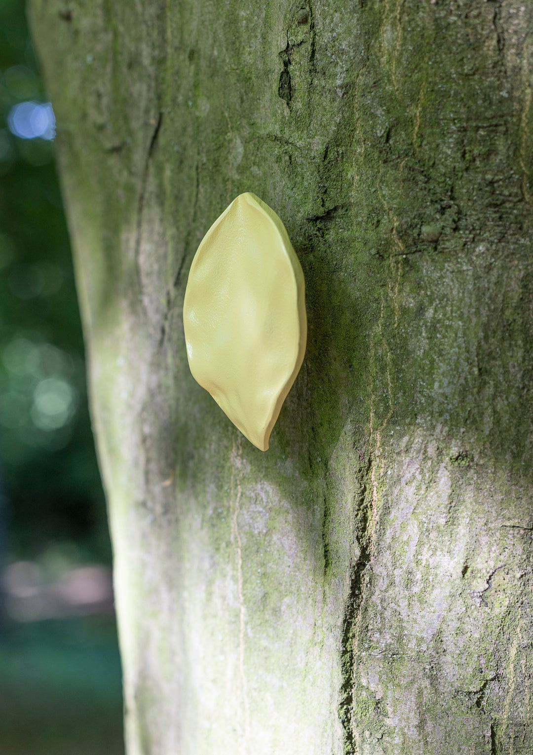 leaf, large