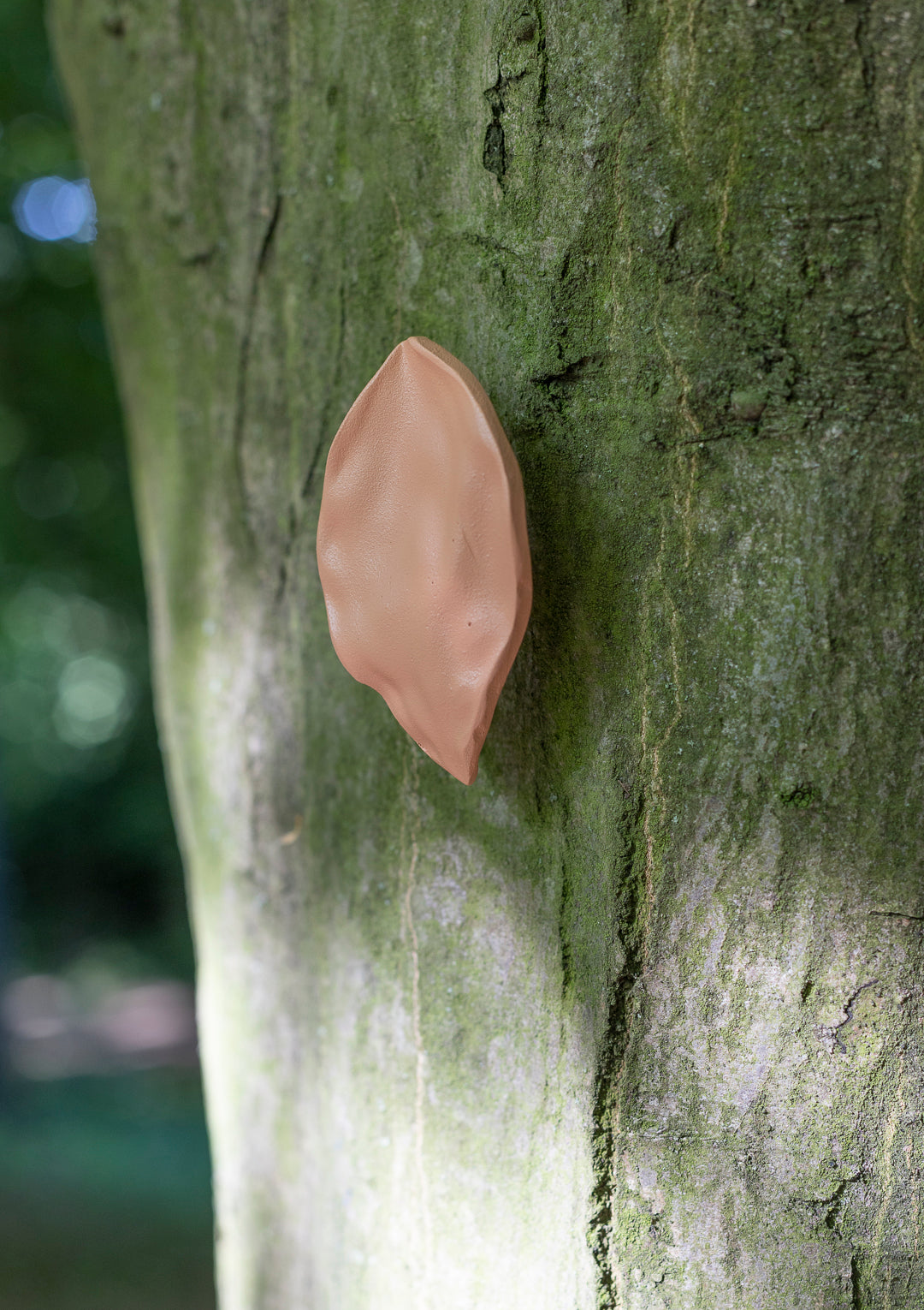 leaf, large