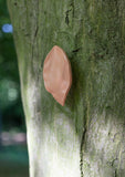 leaf, large