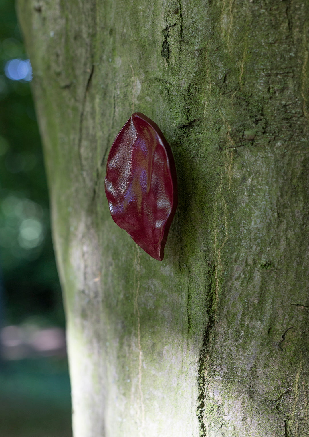 leaf, large