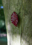 leaf, large