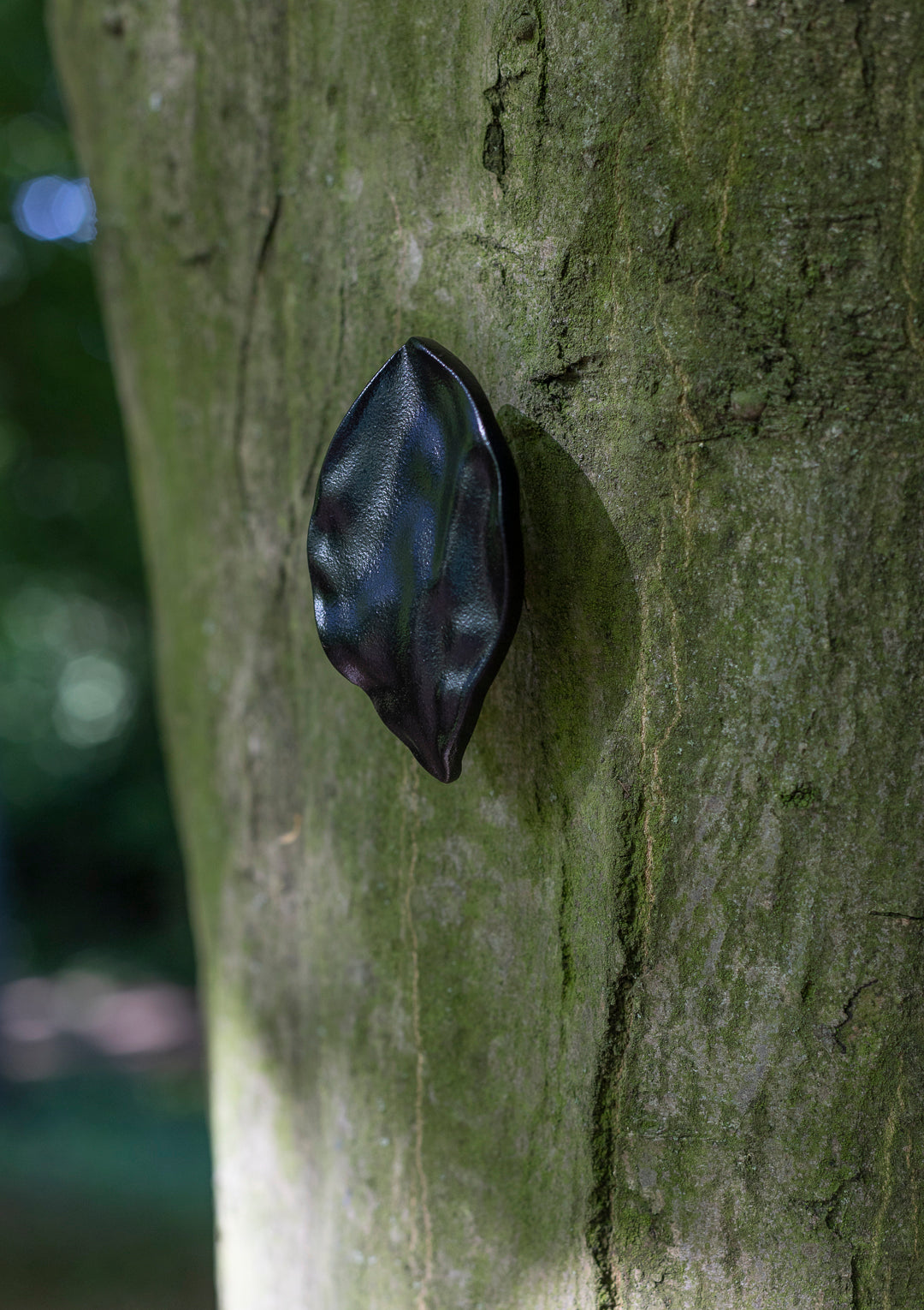 leaf, large
