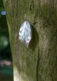 leaf, large
