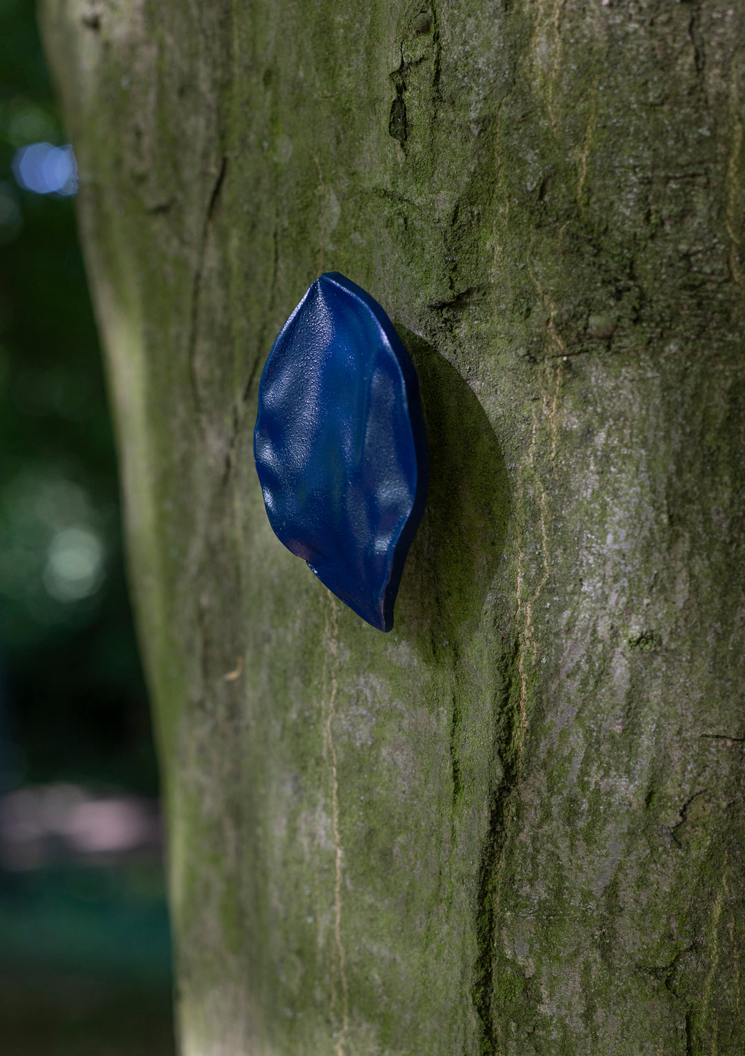 leaf, large