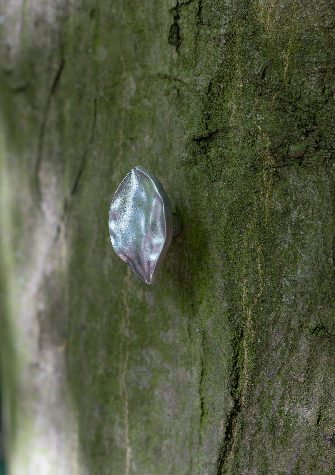 leaf small