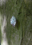 leaf small
