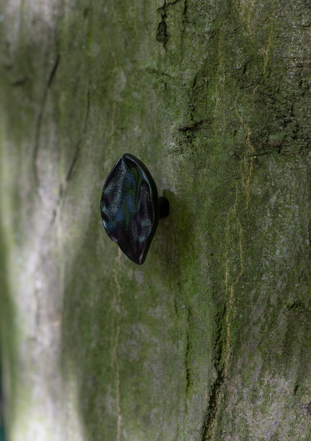 leaf small