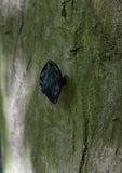 leaf small