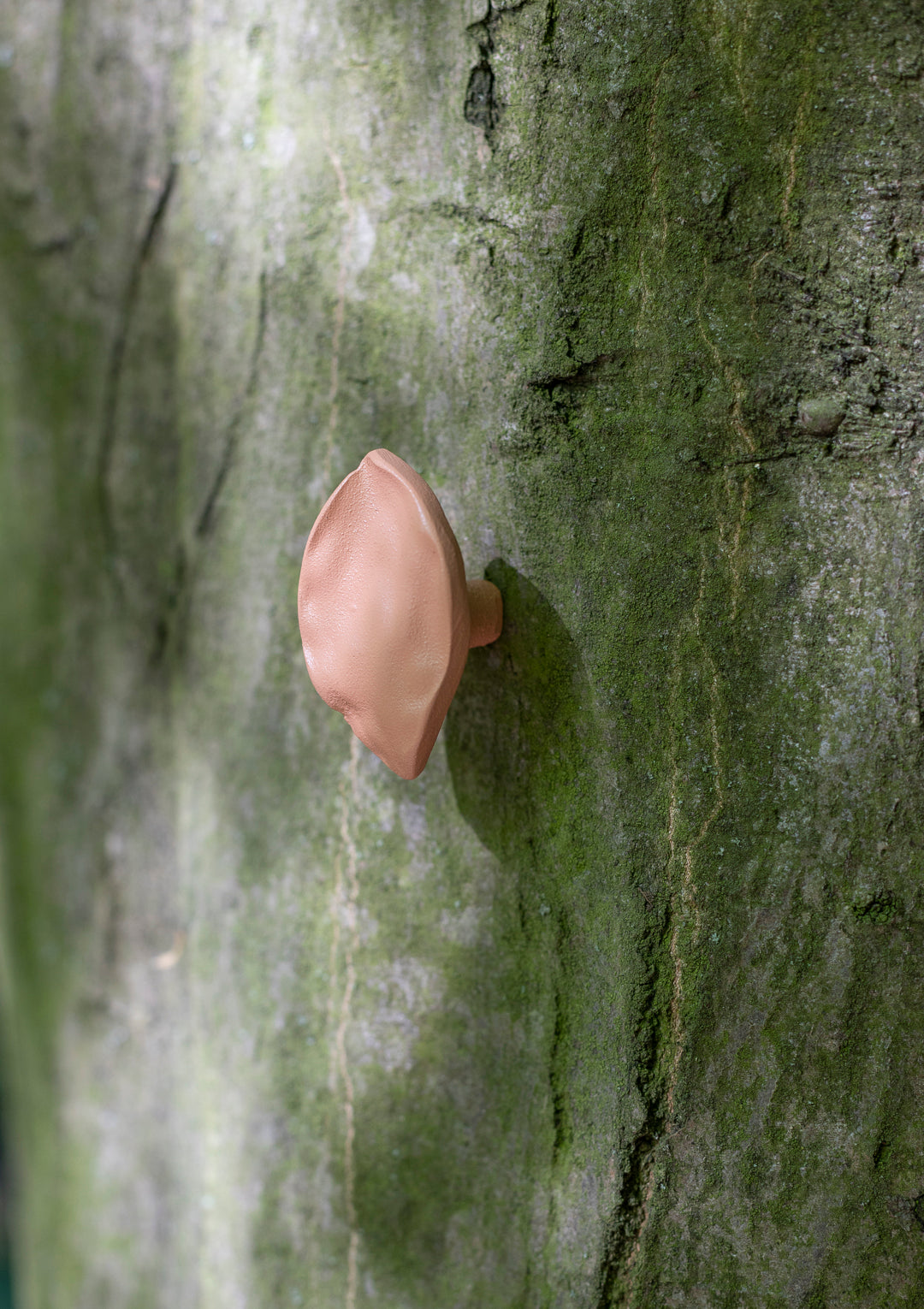 leaf small