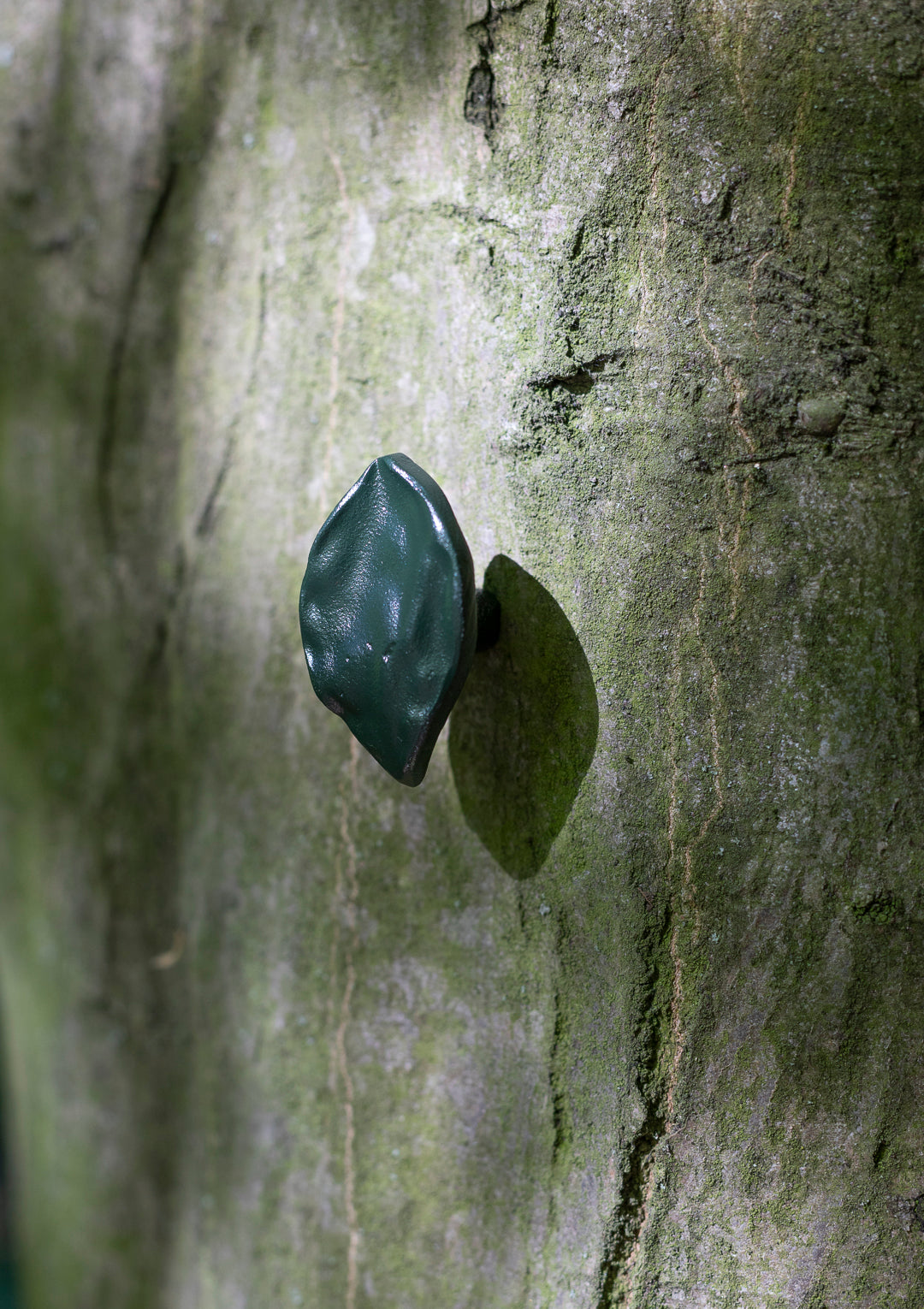 leaf small