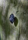 leaf small