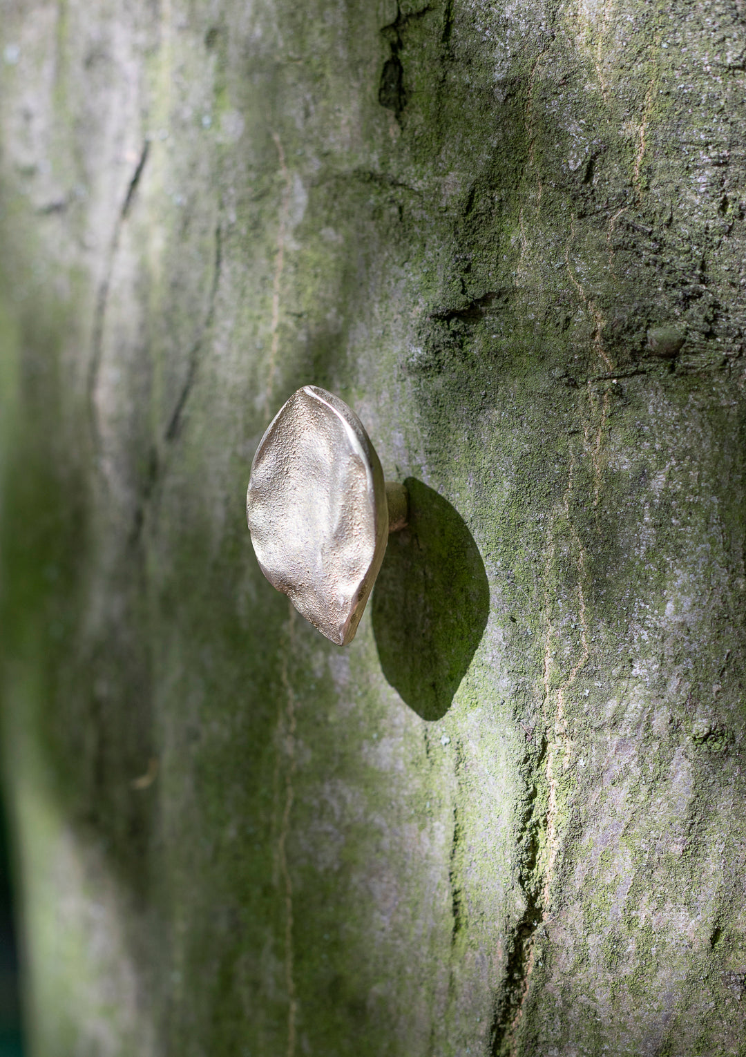 leaf small