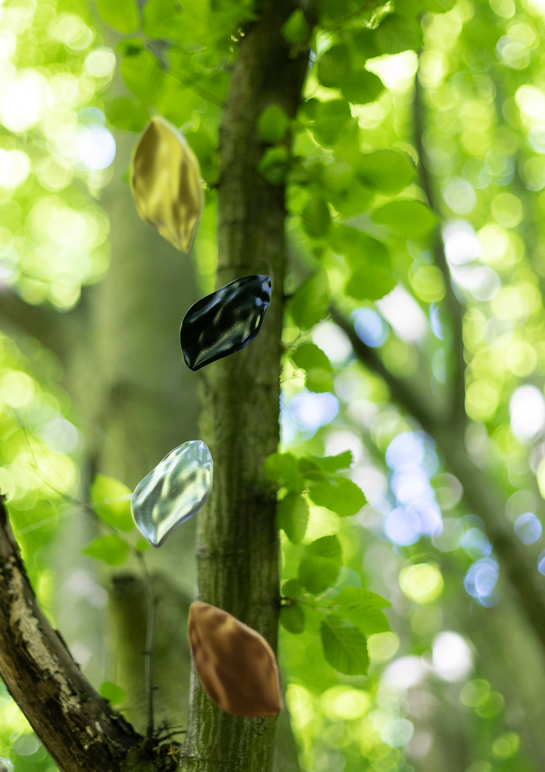 leaf, large