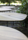 organic coffee table - oak